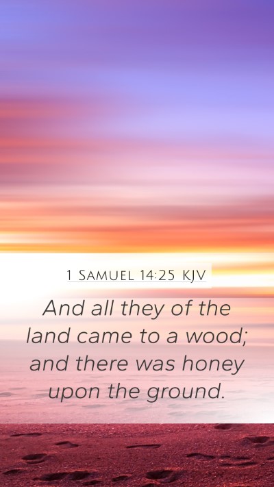 1 Samuel 14:25 Explained