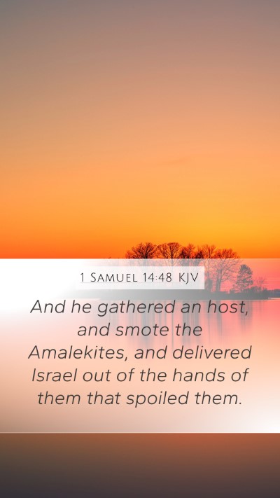 1 Samuel 14:48 Explained