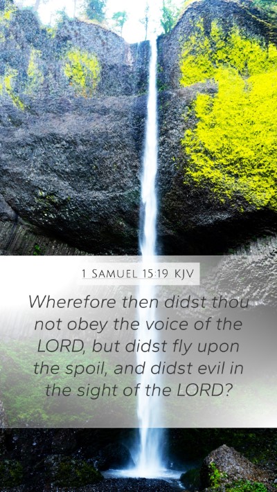 1 Samuel 15:19 Explained