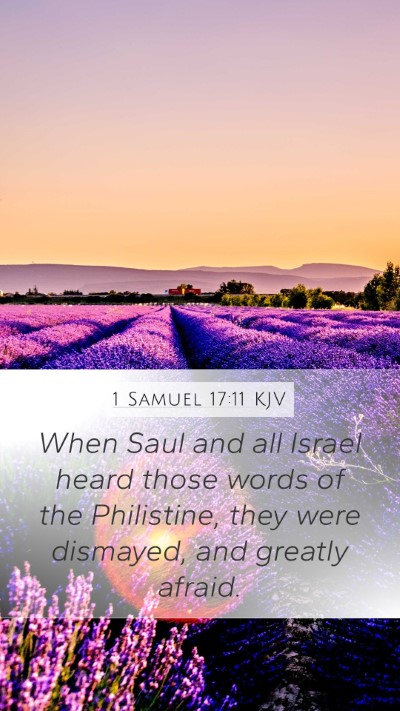 1 Samuel 17:11 Explained