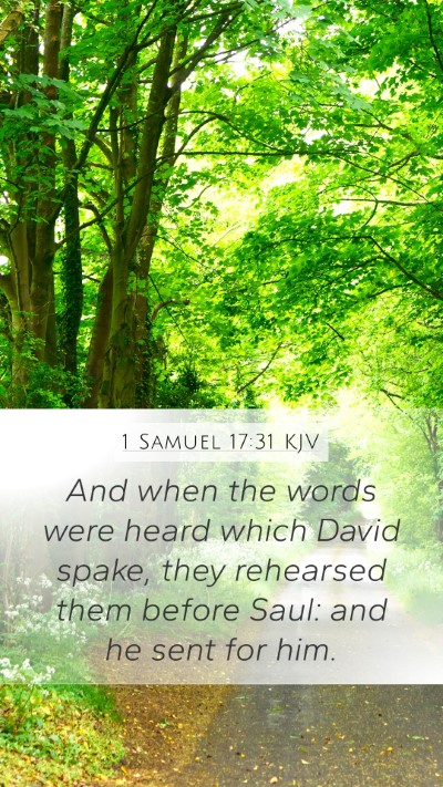 1 Samuel 17:31 Explained