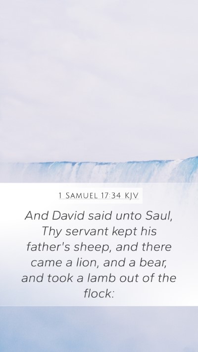 1 Samuel 17:34 Explained