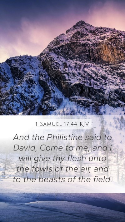 1 Samuel 17:44 Explained