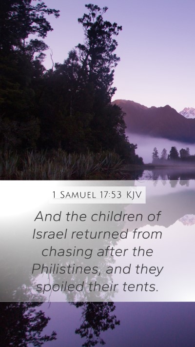 1 Samuel 17:53 Explained