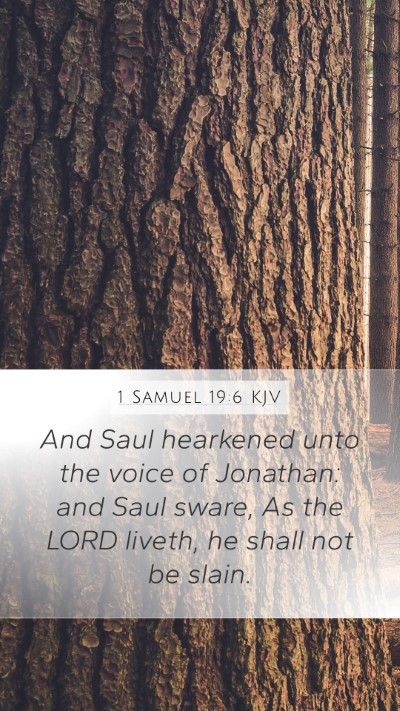 1 Samuel 19:6 Explained