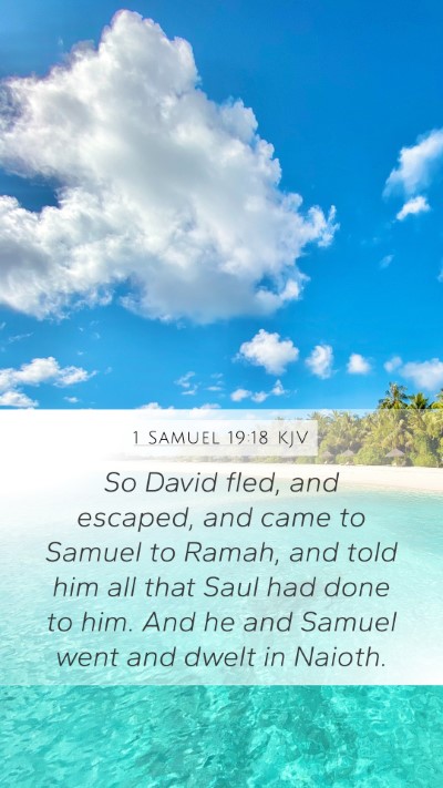 1 Samuel 19:18 Explained