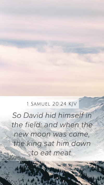 1 Samuel 20:24 Explained