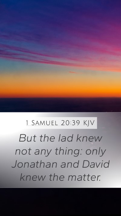 1 Samuel 20:39 Explained