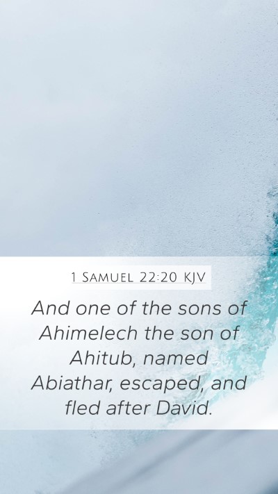 1 Samuel 22:20 Explained