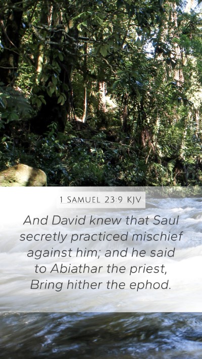 1 Samuel 23:9 Explained