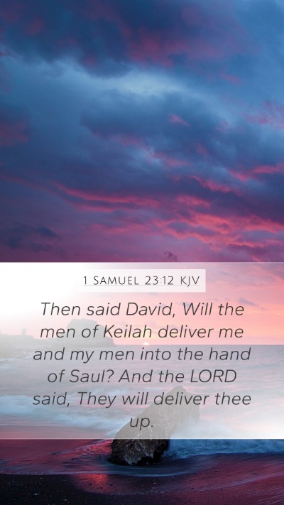 1 Samuel 23:12 Explained