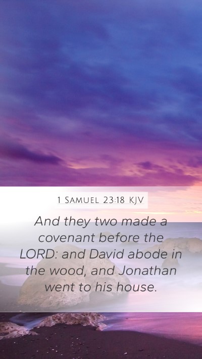 1 Samuel 23:18 Explained