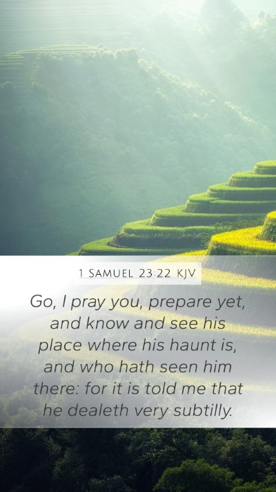 1 Samuel 23:22 Explained