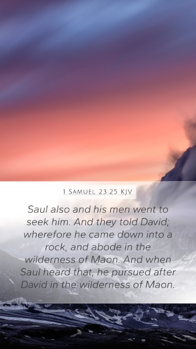 1 Samuel 23:25 Explained