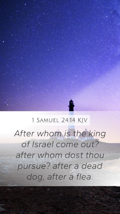 1 Samuel 24:14 Explained