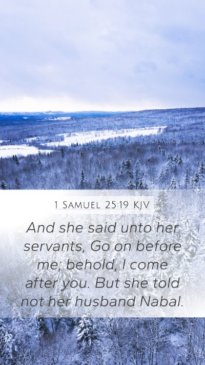 1 Samuel 25:19 Explained