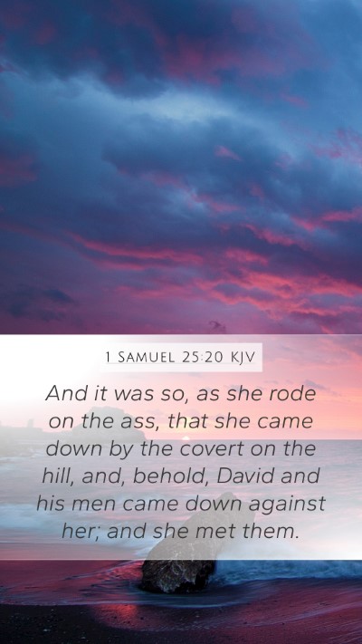 1 Samuel 25:20 Explained