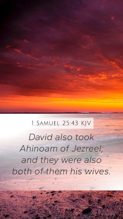 1 Samuel 25:43 Explained