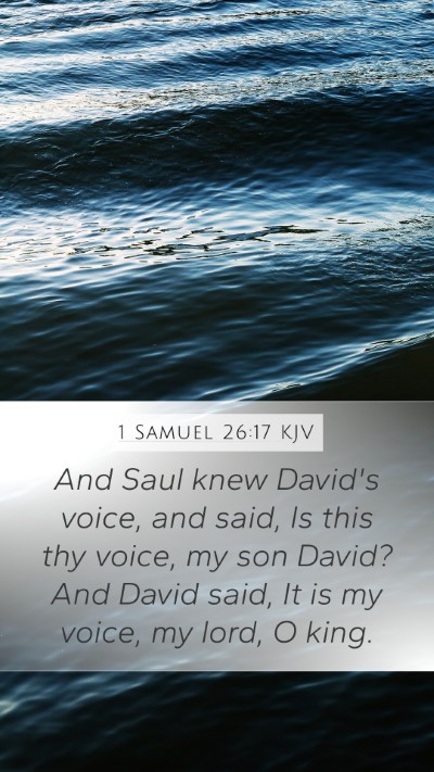 1 Samuel 26:17 Explained