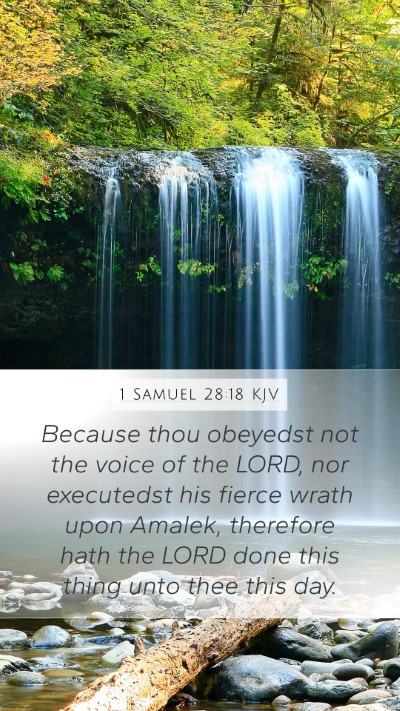 1 Samuel 28:18 Explained