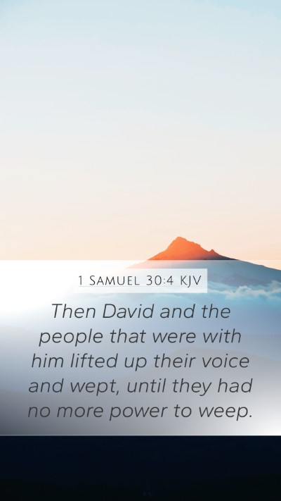 1 Samuel 30:4 Explained