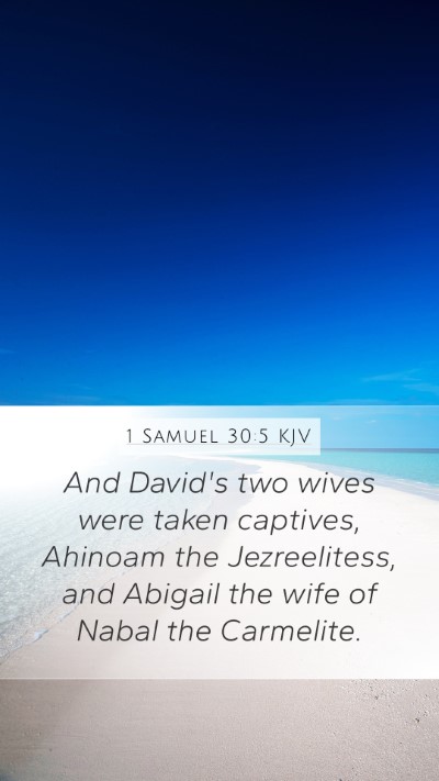 1 Samuel 30:5 Explained