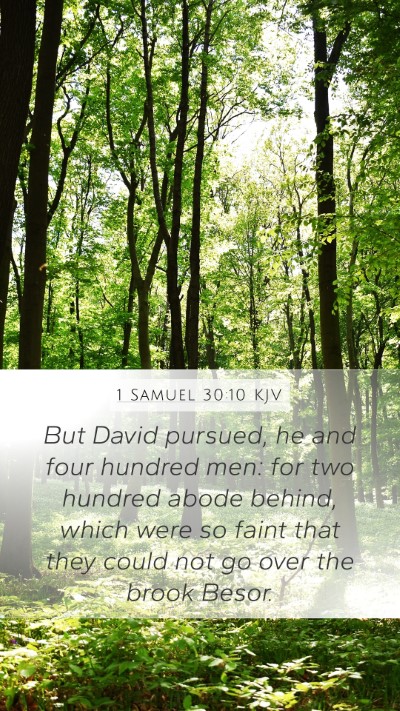 1 Samuel 30:10 Explained