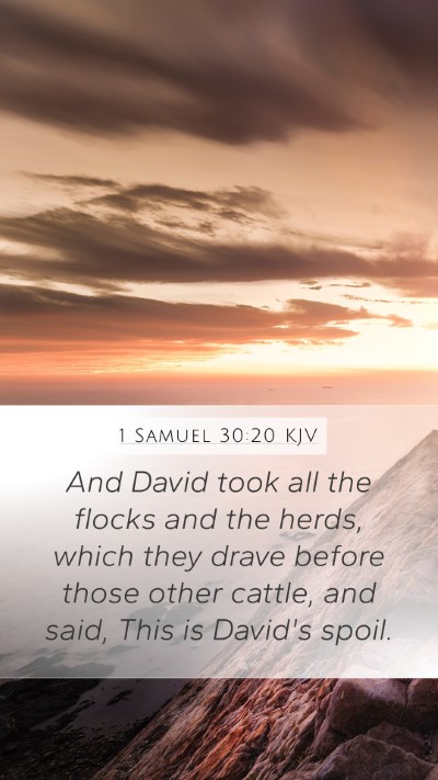 1 Samuel 30:20 Explained