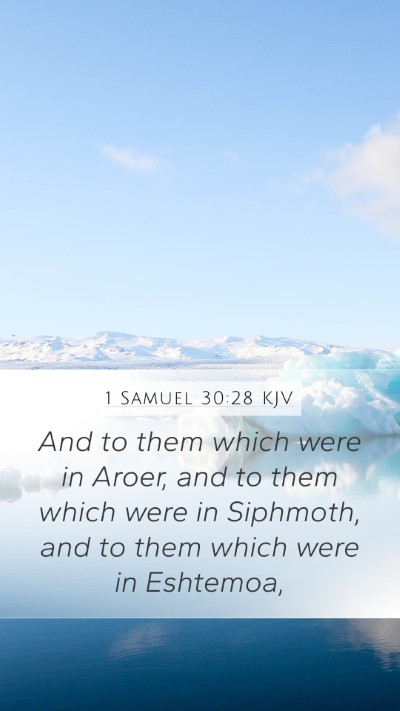 1 Samuel 30:28 Explained