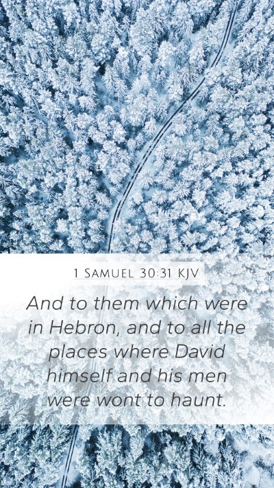 1 Samuel 30:31 Explained