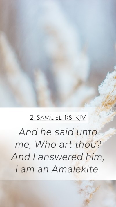 2 Samuel 1:8 Explained