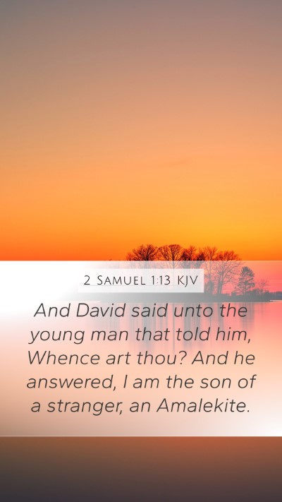 2 Samuel 1:13 Explained