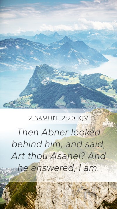 2 Samuel 2:20 Explained