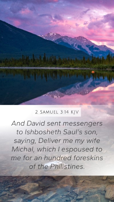 2 Samuel 3:14 Explained