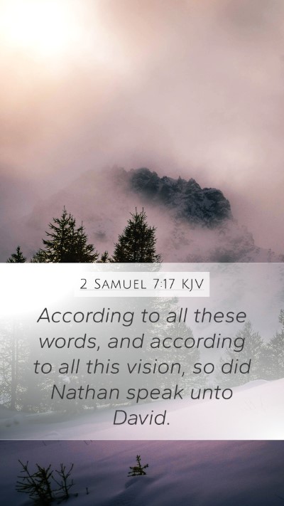 2 Samuel 7:17 Explained