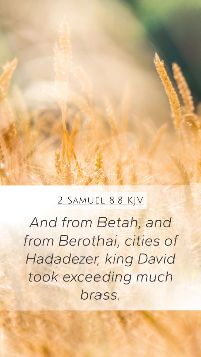 2 Samuel 8:8 Explained