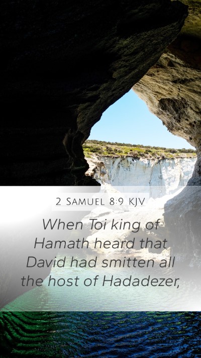 2 Samuel 8:9 Explained