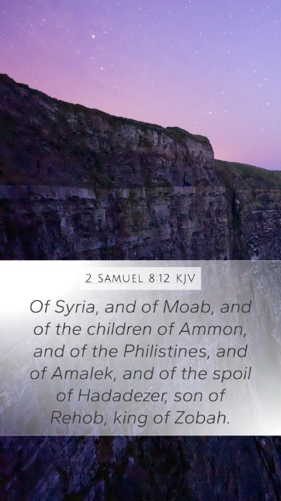 2 Samuel 8:12 Explained