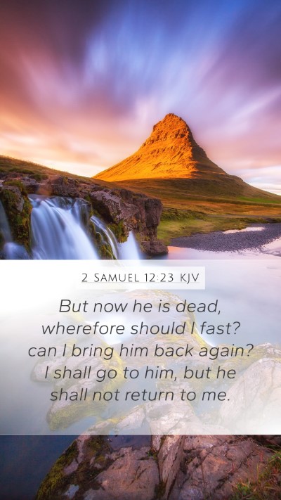 2 Samuel 12:23 Explained