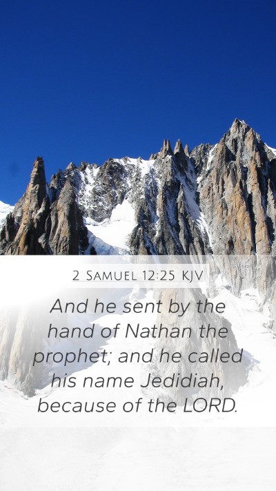 2 Samuel 12:25 Explained