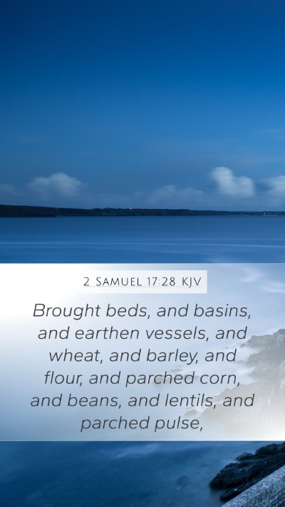 2 Samuel 17:28 Explained