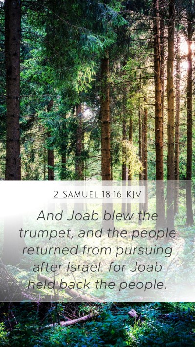 2 Samuel 18:16 Explained