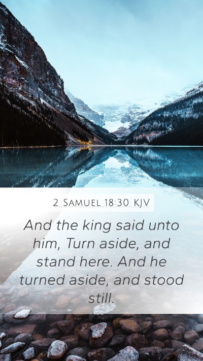 2 Samuel 18:30 Explained