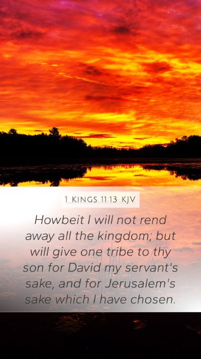 1 Kings 11:13 Explained