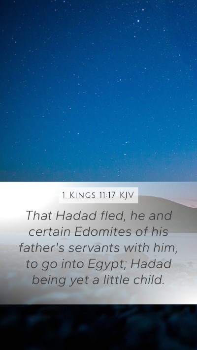 1 Kings 11:17 Explained