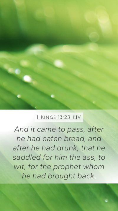 1 Kings 13:23 Explained