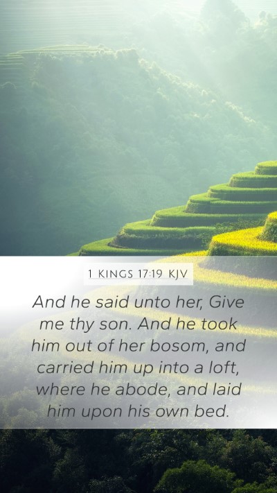 1 Kings 17:19 Explained