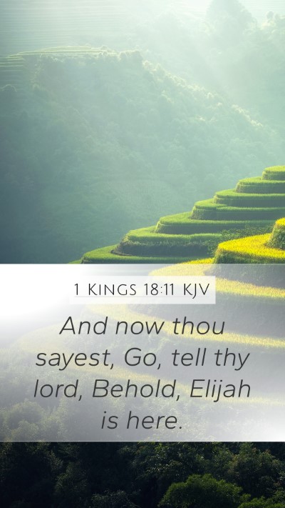 1 Kings 18:11 Explained