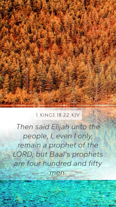 1 Kings 18:22 Explained