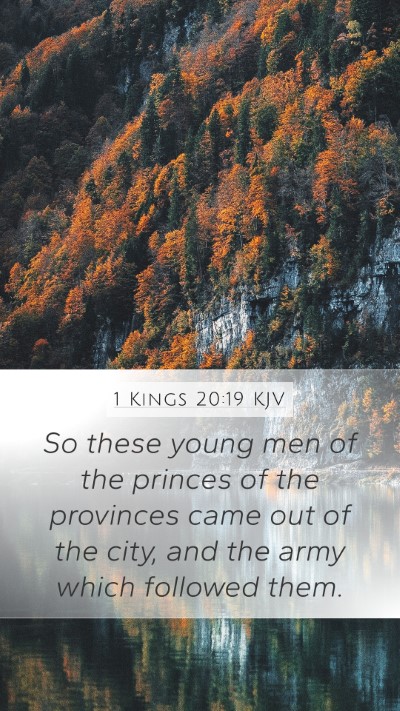 1 Kings 20:19 Explained